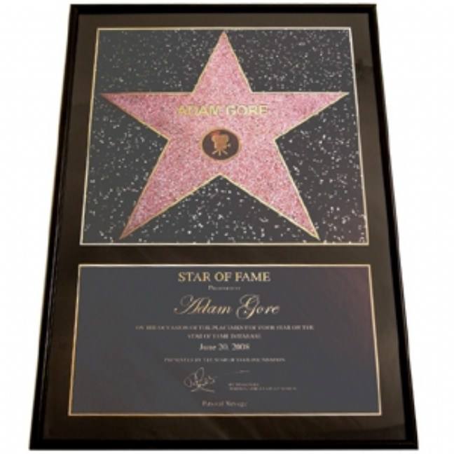 Star of Fame